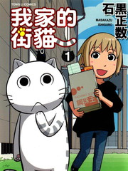 我家的街貓