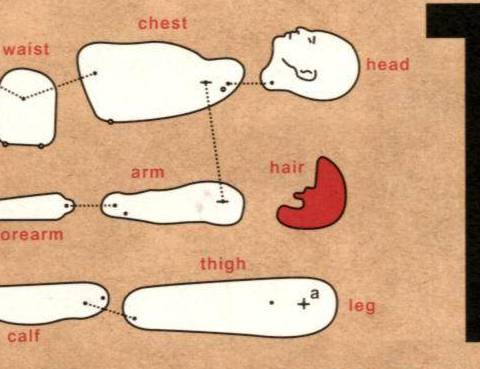 黑鷺屍體宅配便