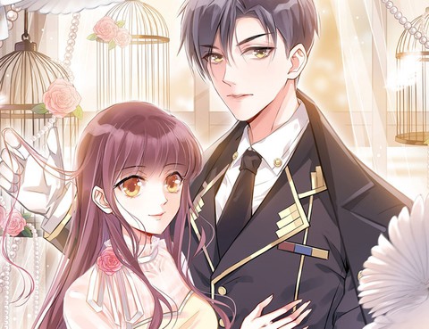 盛世甜寵：易少的小萌妻