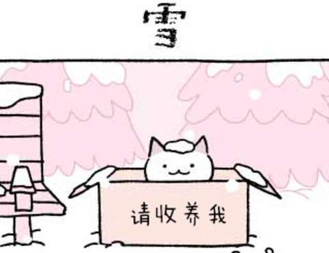 不可思議的貓咪小九