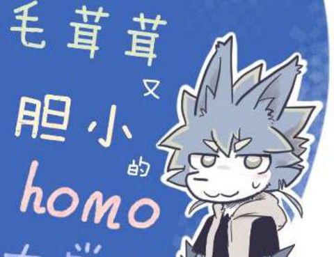 毛茸茸又膽小的homo大學生過君