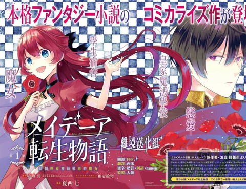 梅迪亞轉生物語