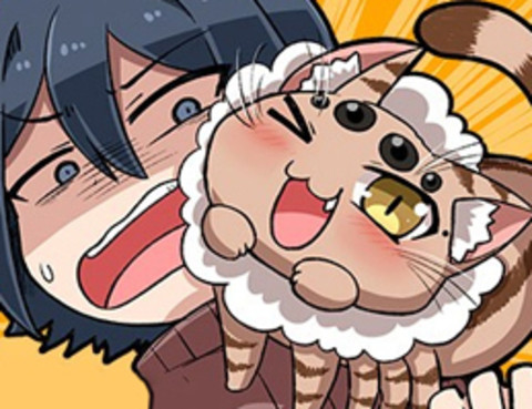 陽臺裡來了一蜘貓